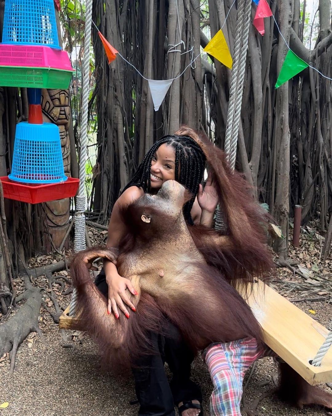 《小美人鱼》游泰国！晒「与猩猩互动出游照」一举动引网涌入怒轰前后内容梳理