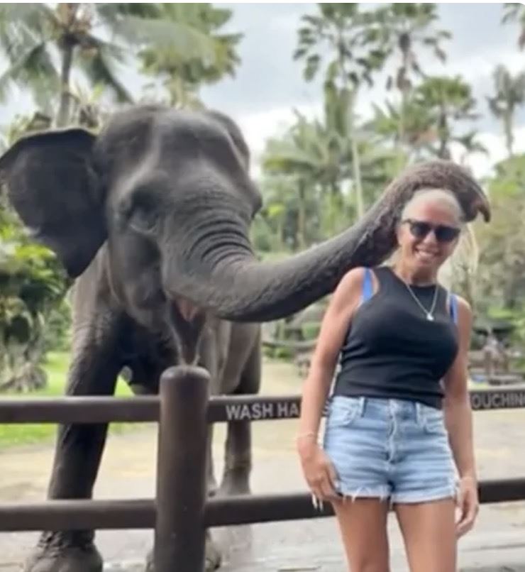 旅游筹划一整年！女子游峇里岛与大象合照「手臂当场被咬断」她惊真相经过持续报道